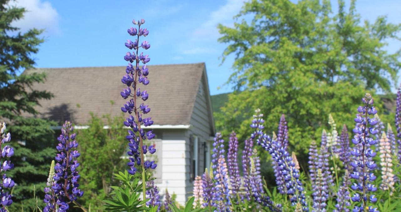 Chanterelle Inn & Cottages Baddeck Luaran gambar